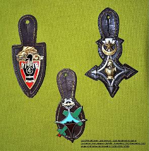 29- Mes insignes du 4eme Genie, de la 122 CTGS, Du CIEES